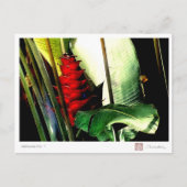 Heliconia nr. 1 briefkaart (Voorkant)