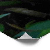 Heliconia Poster (Hoek)