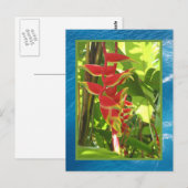 Heliconia rostrata briefkaart (Voorkant / Achterkant)