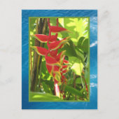 Heliconia rostrata briefkaart (Voorkant)
