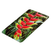 Heliconia rostrata Flower Flexible Photo Magnet Magneet (Linkerzijde)