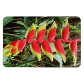 Heliconia rostrata Flower Flexible Photo Magnet Magneet (Horizontaal)