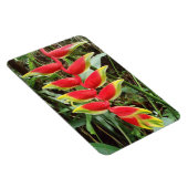 Heliconia rostrata Flower Flexible Photo Magnet Magneet (Rechterzijde)