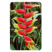 Heliconia rostrata Flower Flexible Photo Magnet Magneet (Verticaal)