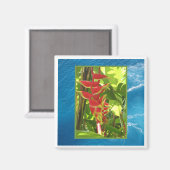 Heliconia rostrata magneet (Voorkant / Achterkant)