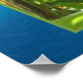 Heliconia rostrata poster (Hoek)