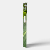 Heliconia Tropical Flower iPhone Case (Achterkant / Rechts)