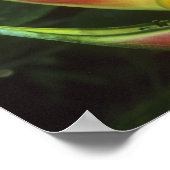 Heliconias, Heliconia walkeriana), La Selva Poster (Hoek)