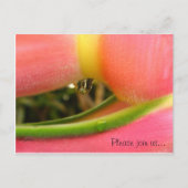 HeliconiaTropical Save the Date Wedding Cards Aankondigingskaart (Voorkant)