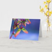 Helikopters met rode mantel blank kaart (Gele Bloem)