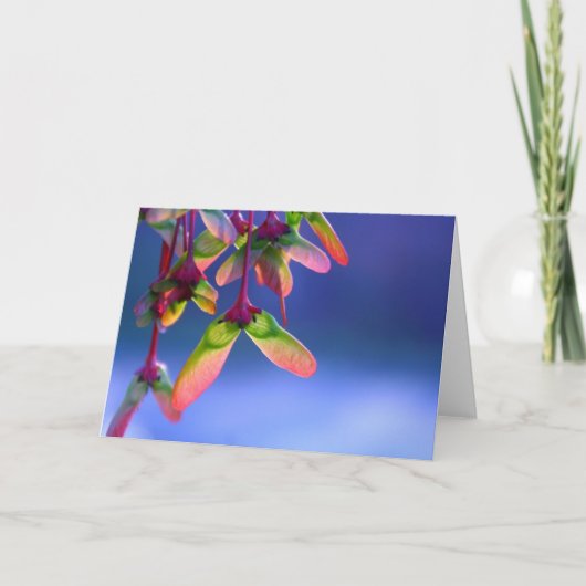 Helikopters met rode mantel blank kaart (Voorkant)