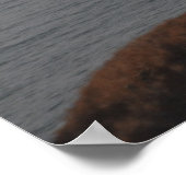 Helikopters voor kustwacht MH-60 Jayhawk Poster (Hoek)