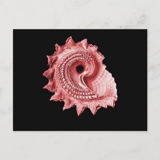 Heliotropium van Astraea Briefkaart (Voorkant)
