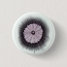 Heliozoa Microbe Microbiology Digital Art