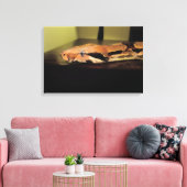 Helix, Boa constrictor imperator Canvas Afdruk (Insitu (Woonkamer))