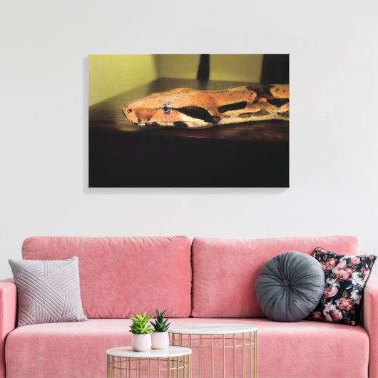 Helix, Boa constrictor imperator Canvas Afdruk (Insitu (Woonkamer))