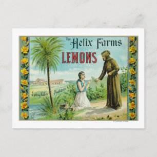 Helix Boerderijen Lemon LabelSan Diego, CA Briefkaart