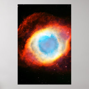 Helixnevel Poster