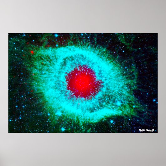 Helixnevel Poster (Voorkant)
