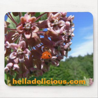 Hella Delicious Mousepad Muismat
