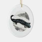 Hellbender Salamander Keramisch Ornament (Rechts)