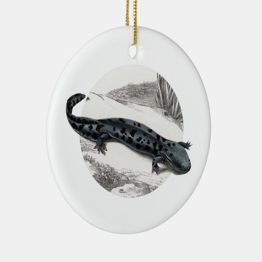 Hellbender Salamander Keramisch Ornament (Rechts)