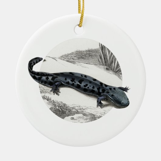 Hellbender Salamander Keramisch Ornament (Voorkant)