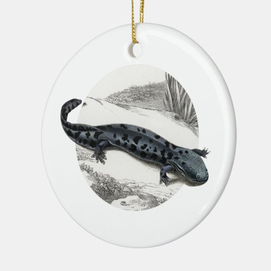 Hellbender Salamander Keramisch Ornament (Links)