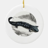 Hellbender Salamander Keramisch Ornament (Achterkant)