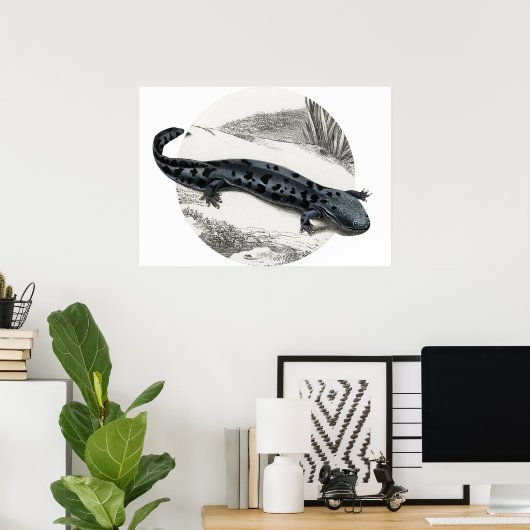 Hellbender Salamander Poster (Thuiskantoor)
