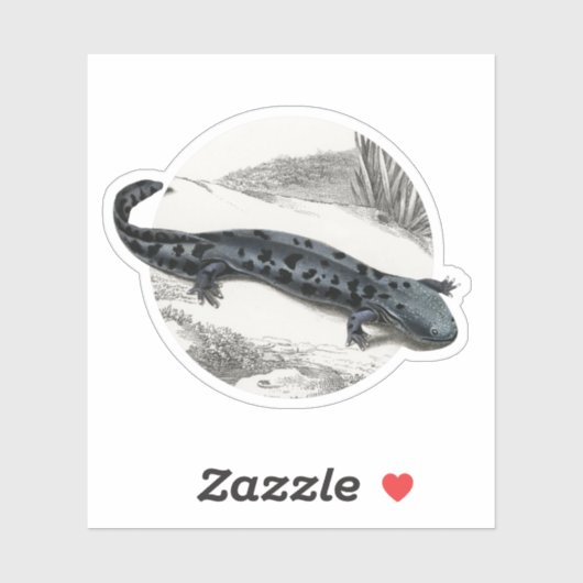 Hellbender Salamander Sticker (Vel)