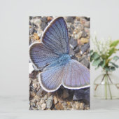 Hellblauer Schmetterling Briefpapier (Staand voorkant)