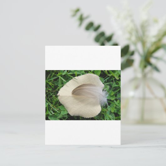 Hellbraune Feder auf hellbeigem Blatt Briefkaart (Staand voorkant)