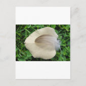 Hellbraune Feder auf hellbeigem Blatt Briefkaart (Voorkant)