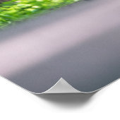 Hellcat Challenger Poster (Hoek)