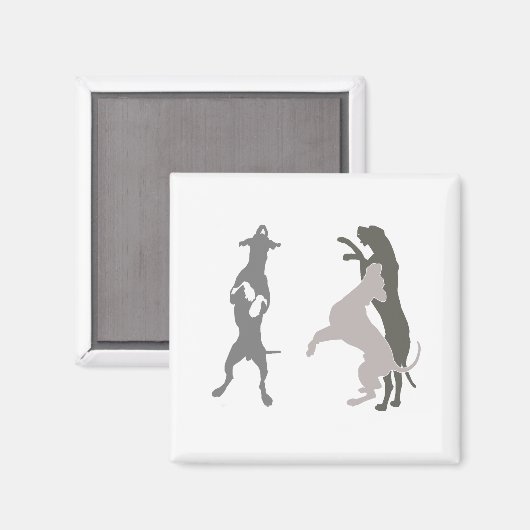 helle sjablonen magneet (Voorkant / Achterkant)