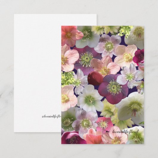 Hellebore Collage  Notitiekaartje (Voorkant / Achterkant)