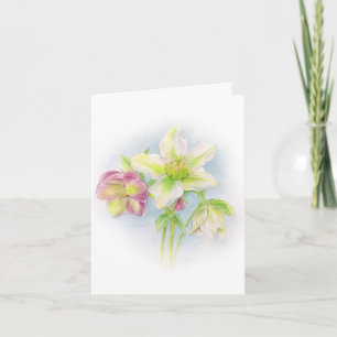 Hellebore floranje wit roze groene paaskaart feestdagen kaart