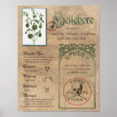 Hellebore Herbal Book of Shadows Pagan Wiccan Poster (Voorkant)