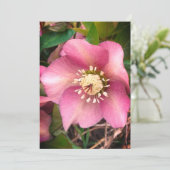 Hellebore Spring Flower Blank Kaart (Staand voorkant)