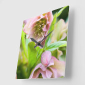 Hellebore Vierkante Klok (Hoek)