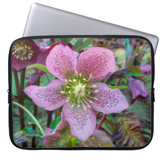Hellebore Winter Roos-laptophoes Laptop Sleeve
