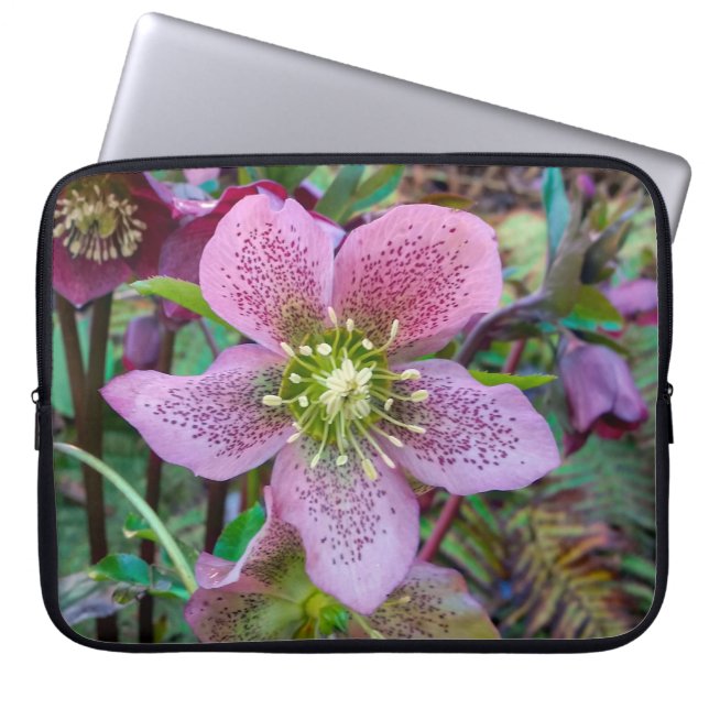 Hellebore Winter Roos-laptophoes Laptop Sleeve (Voorkant)