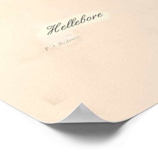 Hellebores en anjers poster (Hoek)