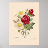 Hellebores en anjers poster (Voorkant)