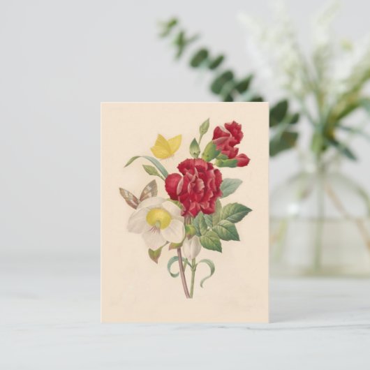 Hellebores en anjers van Pierre-Joseph Redouté Briefkaart (Staand voorkant)