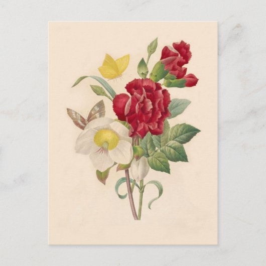 Hellebores en anjers van Pierre-Joseph Redouté Briefkaart (Voorkant)
