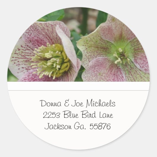 Hellebores Flowers Adres Stickers (Voorkant)