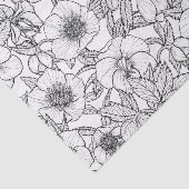 Hellebores in zwart-wit tissuepapier (Detail)