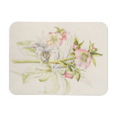 Hellebores Magneet (Horizontaal)
